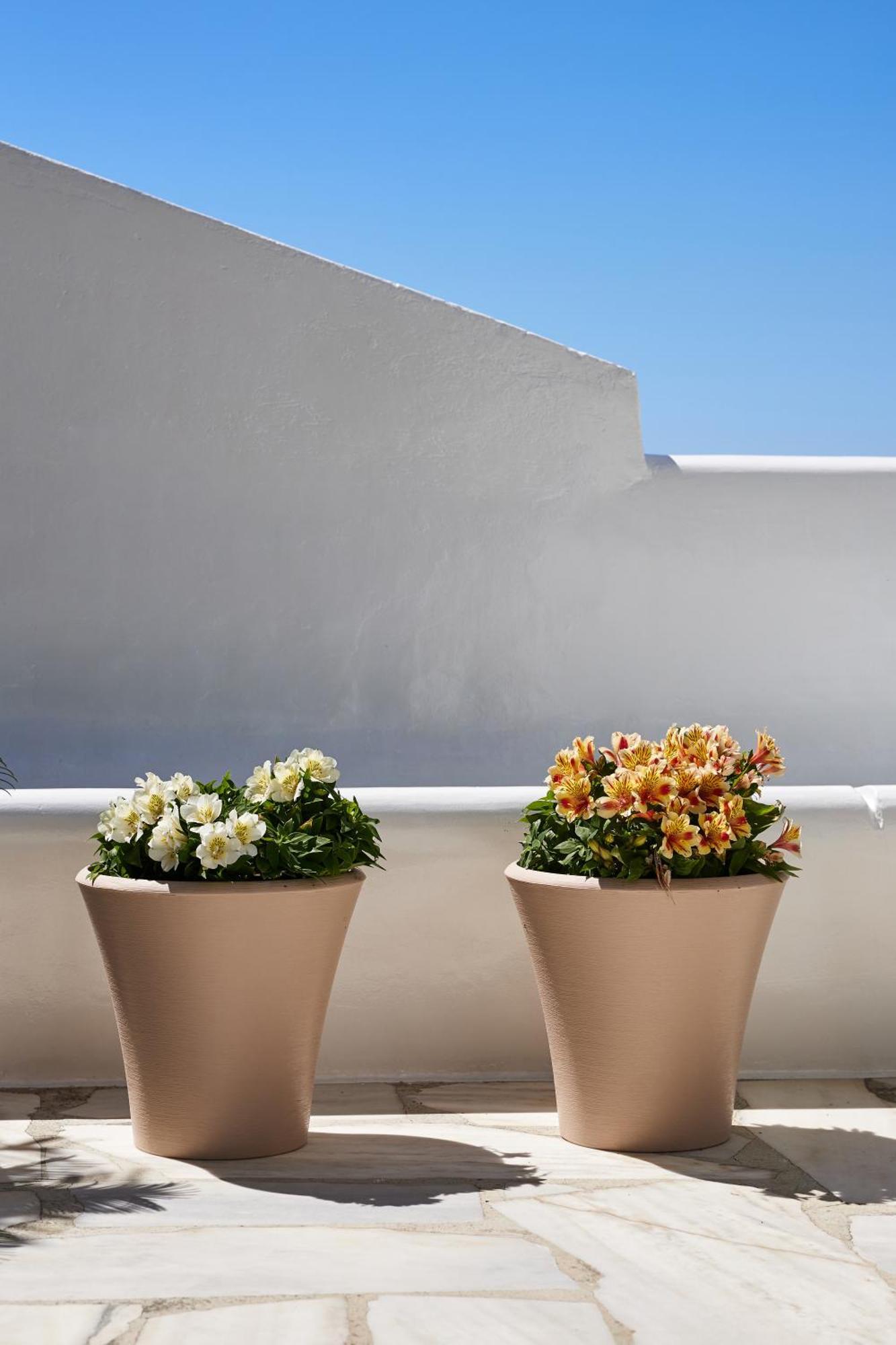 Sand Lily Villa Mykonos Mykonos Town Exteriér fotografie